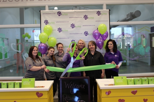 In Business: Pet Suites